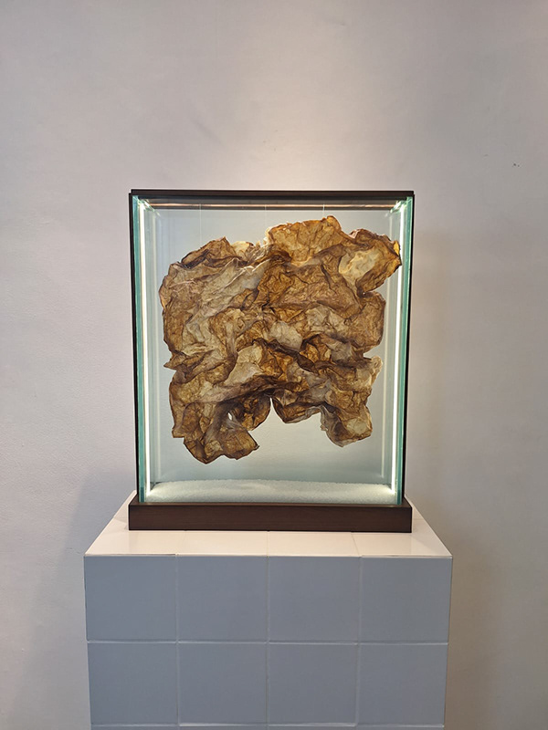 Zoogleia — obra em celulose bacteriana