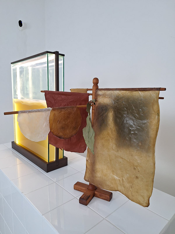 Zoogleia — obra em celulose bacteriana